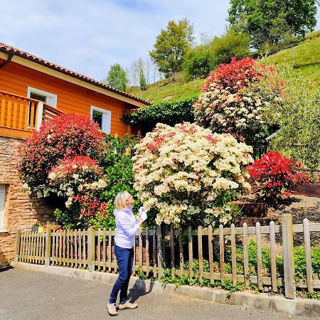 Casa Rural Arbegain Etxea Aizarna Esterno foto